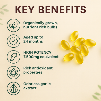 Aged Garlic Extract - 7500mg Odorless